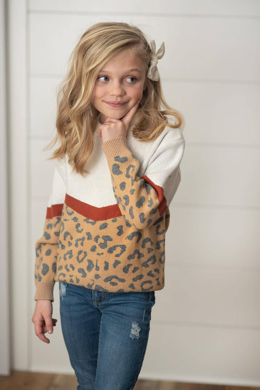 Kids Leopard & Rust V Color Block Crew Neck Sweater