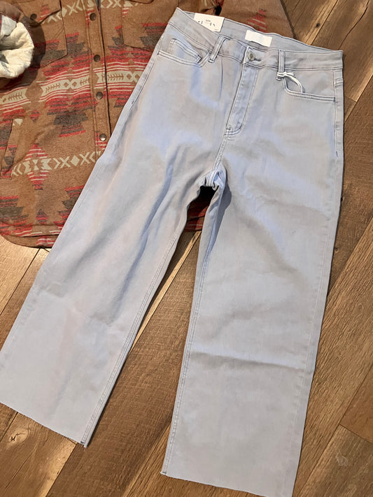 Gray Dawn Wide Leg Denim Plus