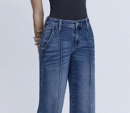 Wendy Pintuck Wide Leg Plus Size Denim 31" inseam